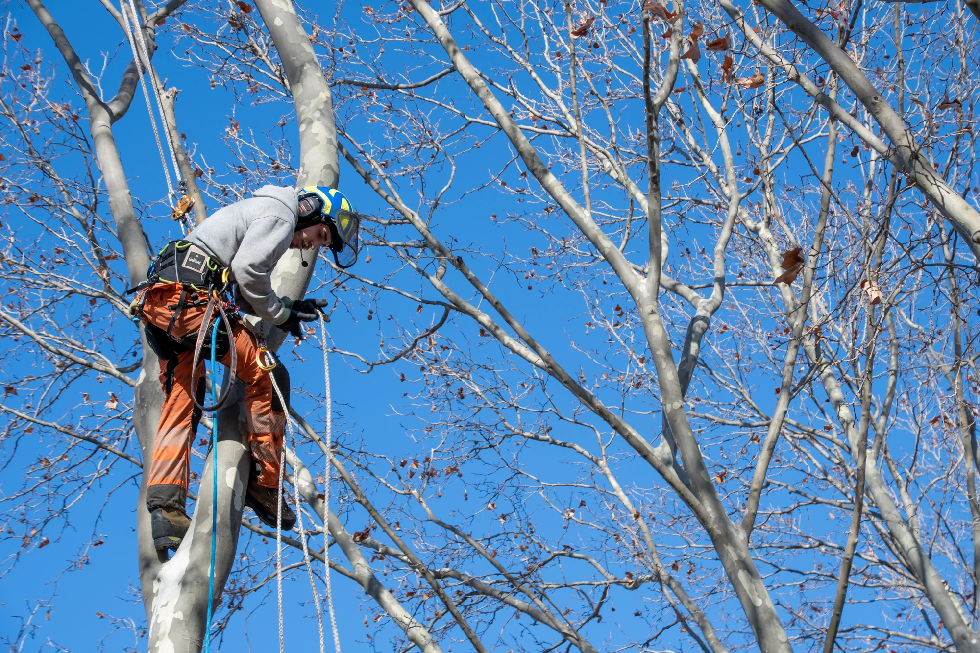 image d'illustration de la serpe